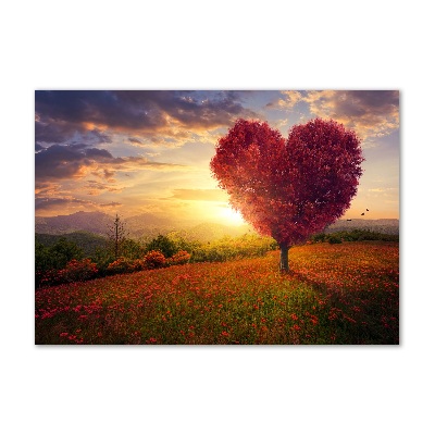 Foto obraz szklany Drzewo pole serce