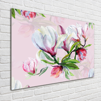 Fotoobraz na ścianę szklany Kwiaty magnolii