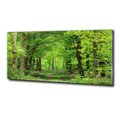 Foto obraz szkło hartowane Wiosenny las