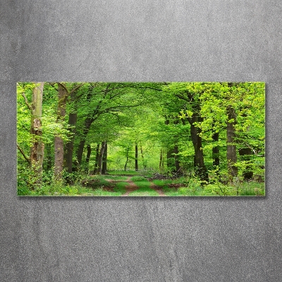 Foto obraz szkło hartowane Wiosenny las