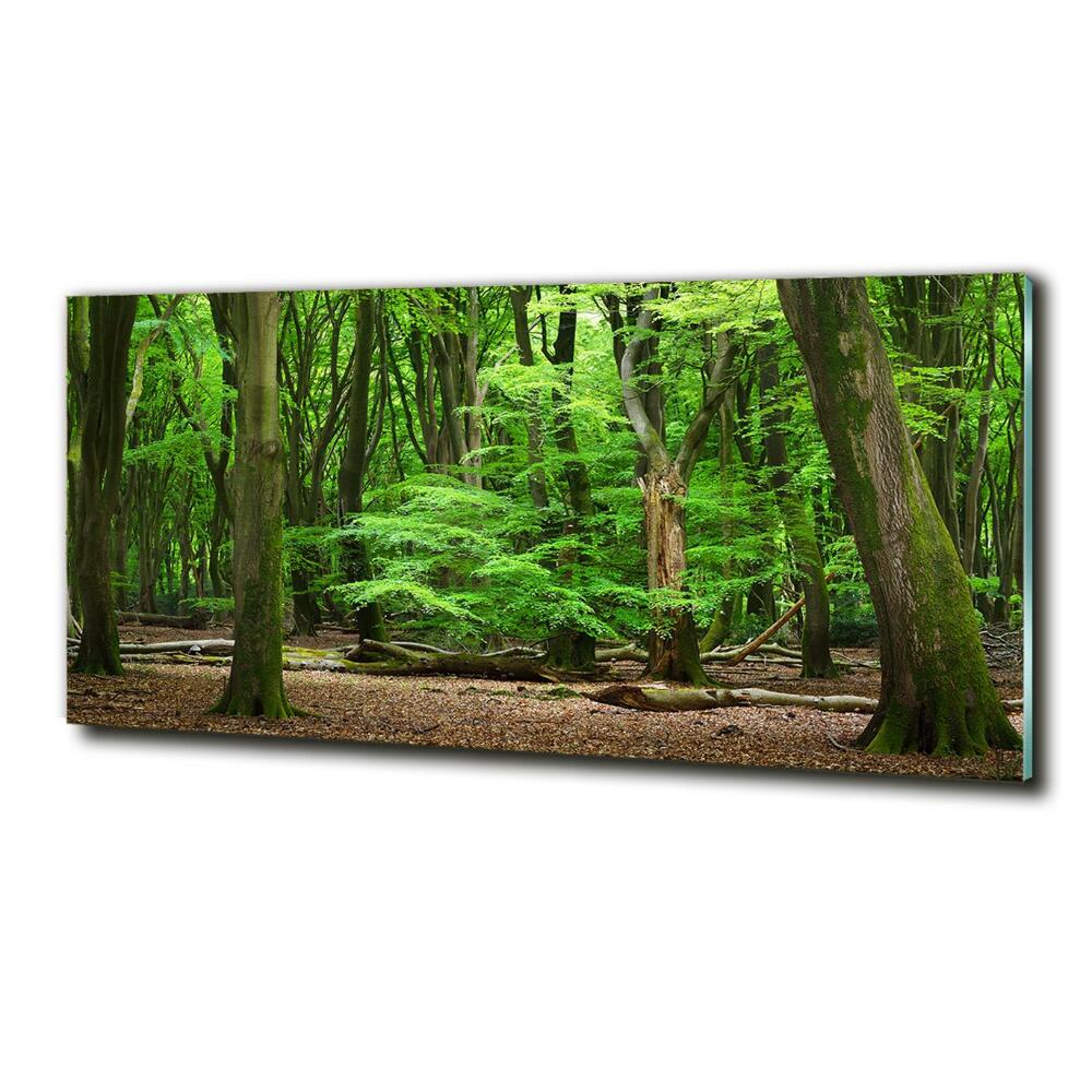 Fotoobraz na ścianę szklany Holenderski las