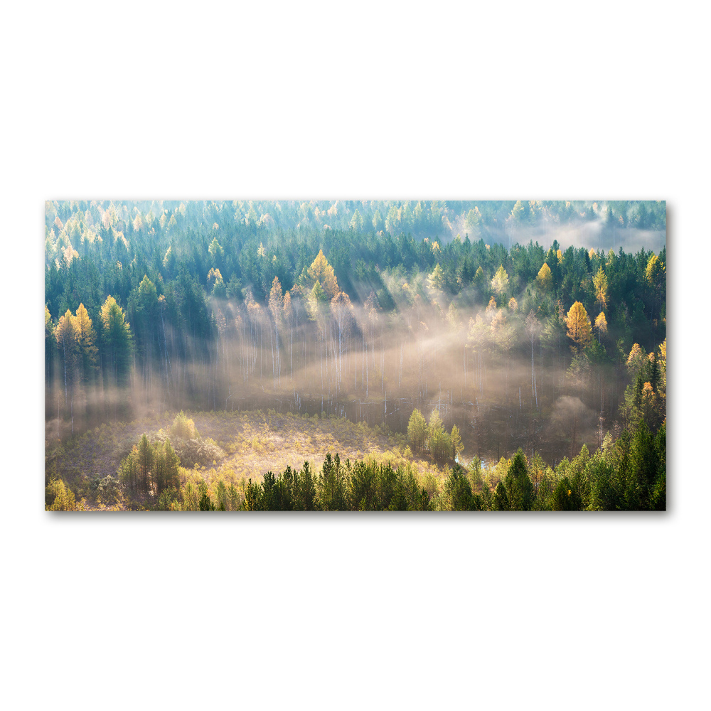 Foto obraz szkło hartowane Mgła w lesie
