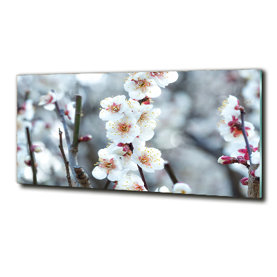 Foto obraz szkło hartowane Kwiaty wiśni