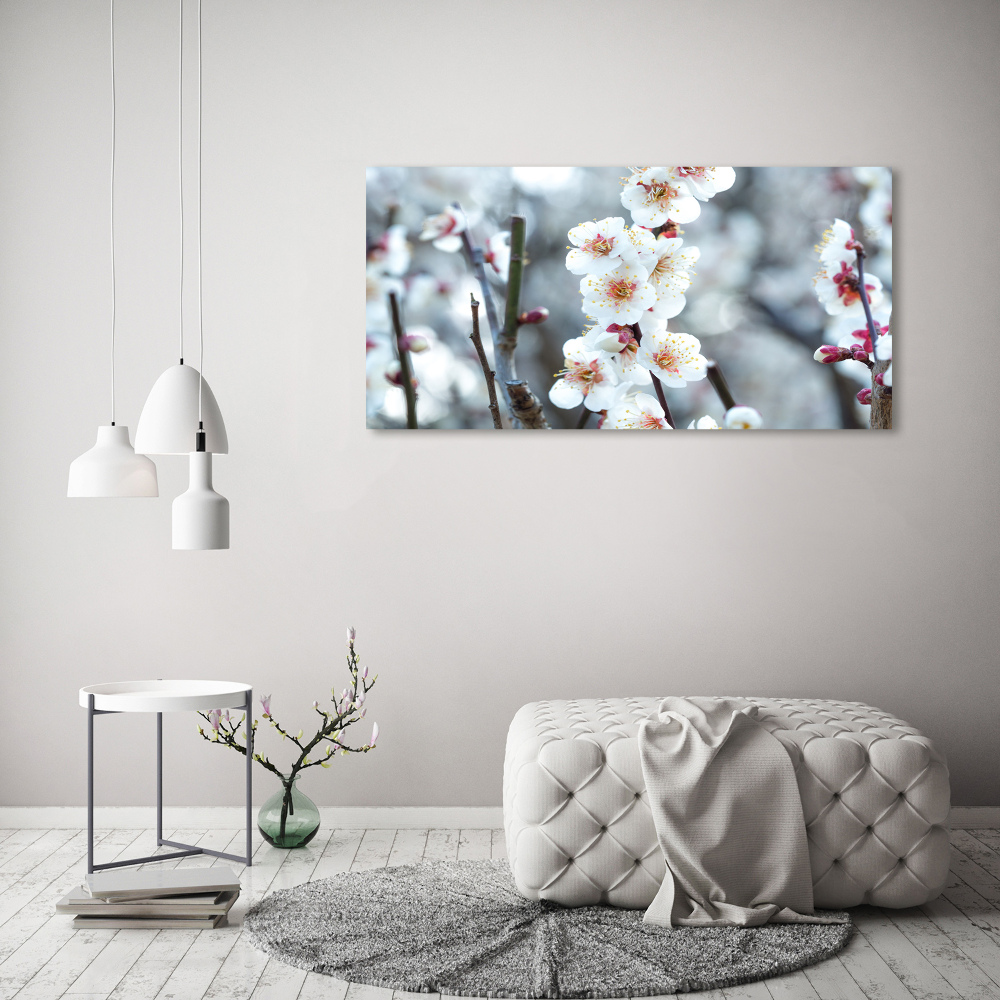 Foto obraz szkło hartowane Kwiaty wiśni