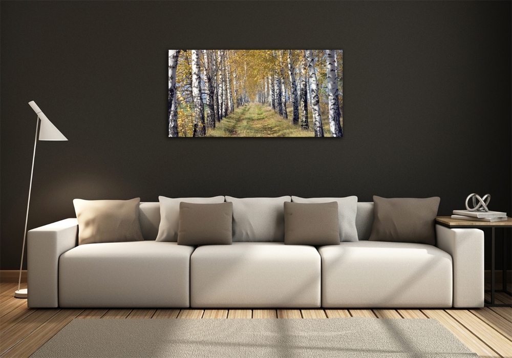Fotoobraz na ścianę szklany Brzozy jesienią