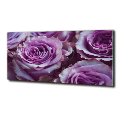 Foto obraz szkło hartowane Fioletowe róże
