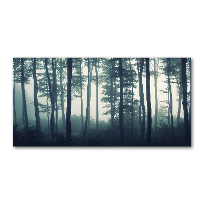 Foto obraz szkło hartowane Las we mgle