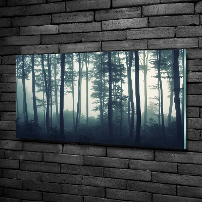 Foto obraz szkło hartowane Las we mgle