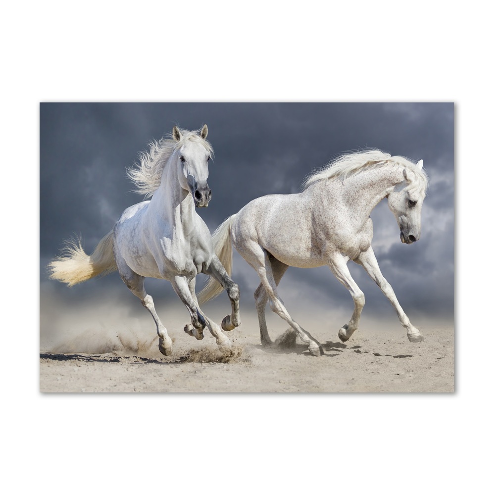 Foto-obraz szklany Białe konie plaża