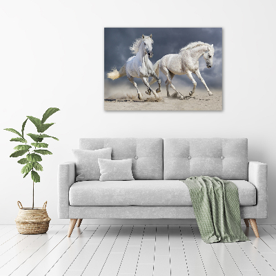 Foto-obraz szklany Białe konie plaża