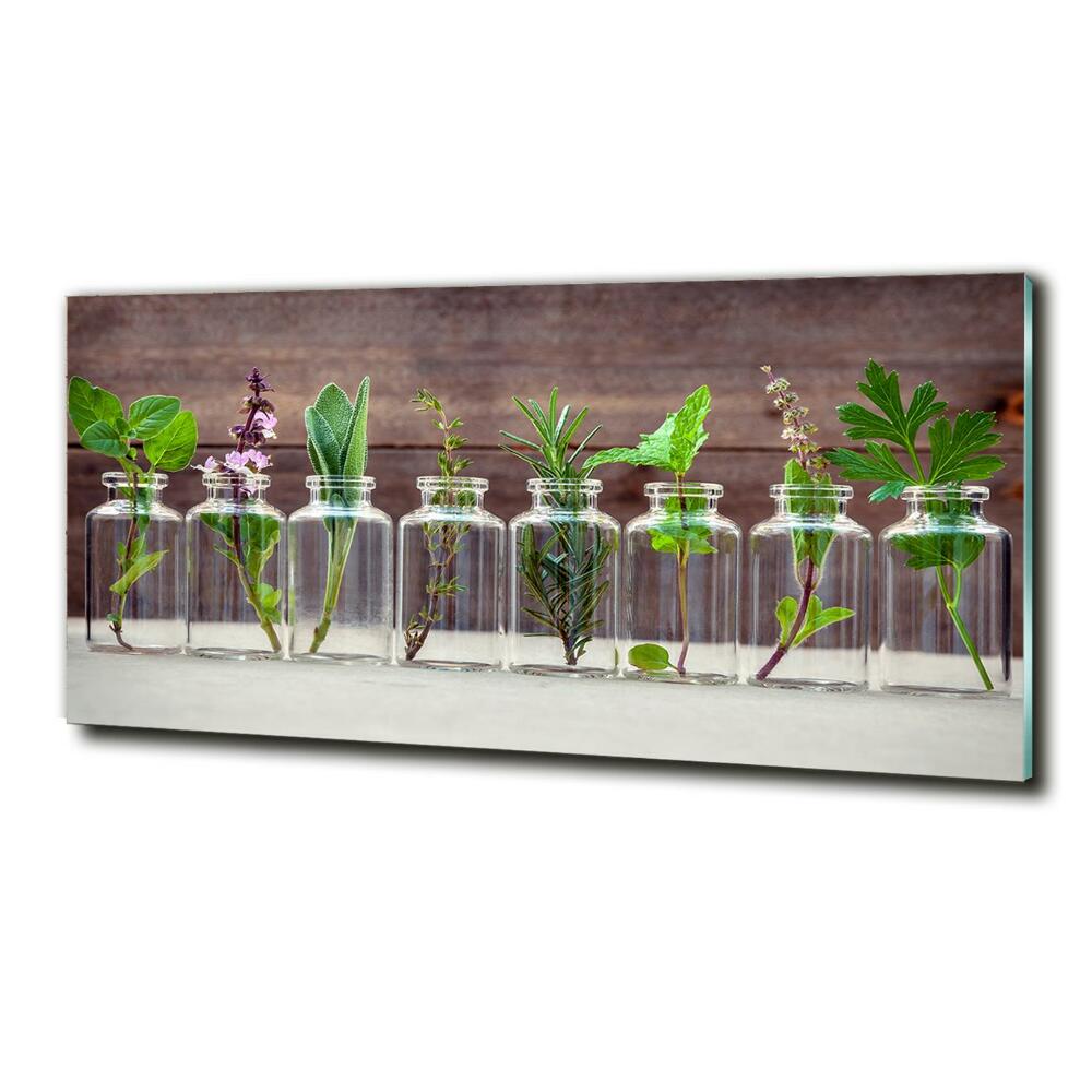 Foto obraz szklany Rośliny w słoikach