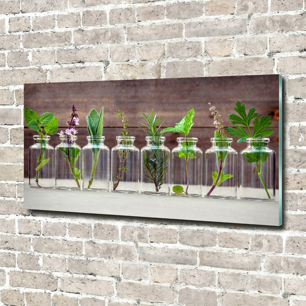 Foto obraz szklany Rośliny w słoikach