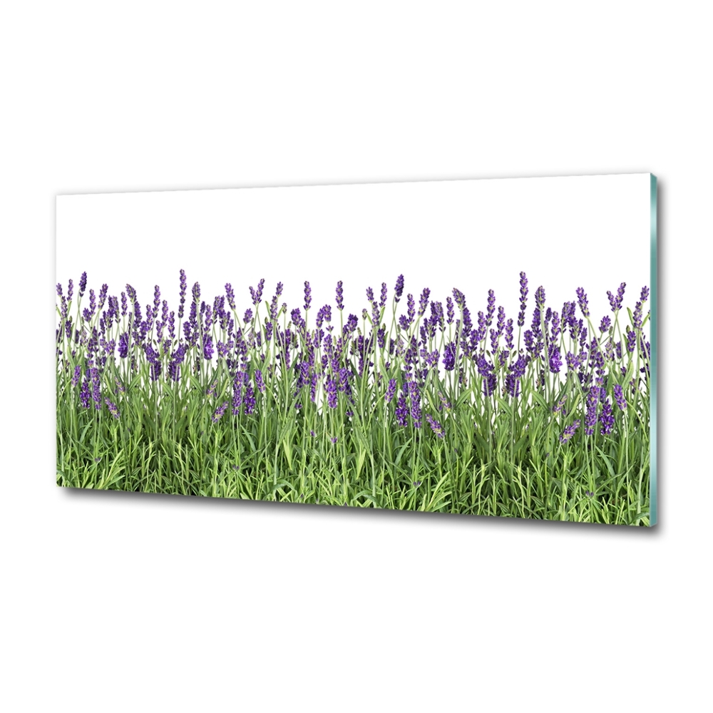 Foto obraz szkło hartowane Kwiaty lawendy