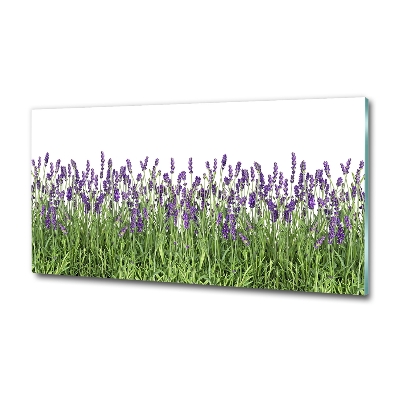 Foto obraz szkło hartowane Kwiaty lawendy