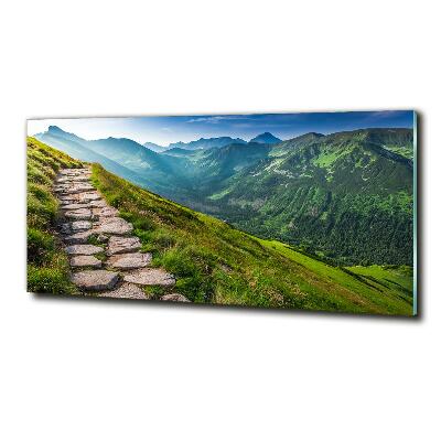 Foto obraz szklany Ścieżka w Tatrach