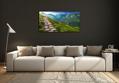 Foto obraz szklany Ścieżka w Tatrach