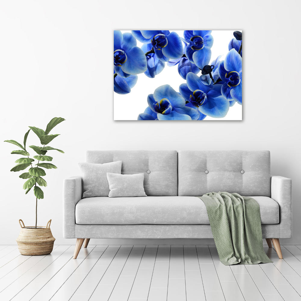 Foto obraz szklany Niebieska orchidea