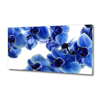 Foto obraz szklany Niebieska orchidea