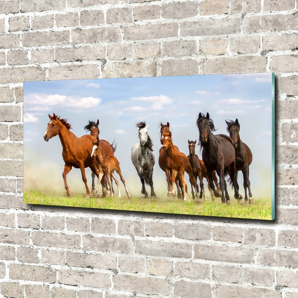 Fotoobraz na ścianę szklany Konie w galopie