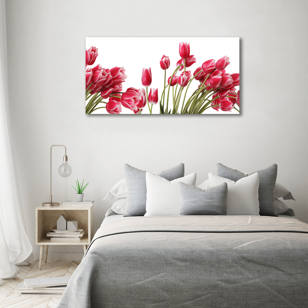 Foto obraz szklany Czerwone tulipany