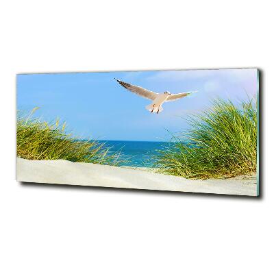 Foto obraz szkło hartowane Mewa na plaży