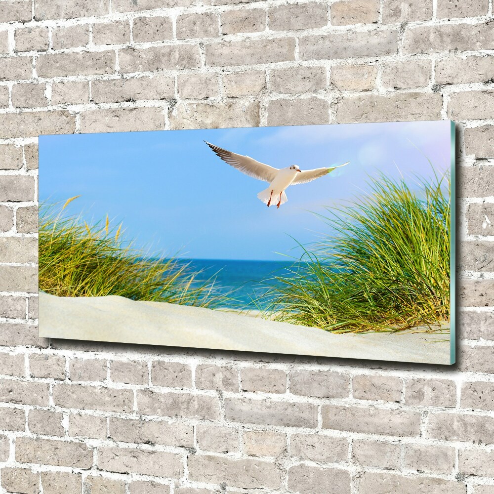 Foto obraz szkło hartowane Mewa na plaży