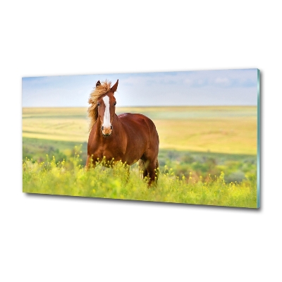 Foto-obraz szkło hartowane Brązowy koń
