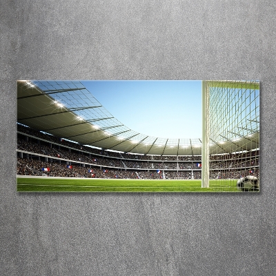 Fotoobraz na ścianę szklany Stadion Francja