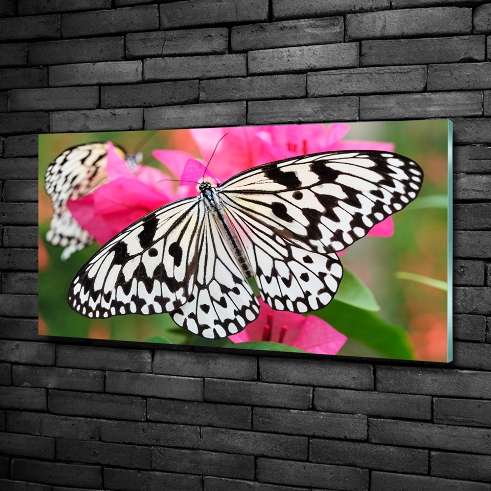 Foto-obraz szklany Motyl na kwiatku