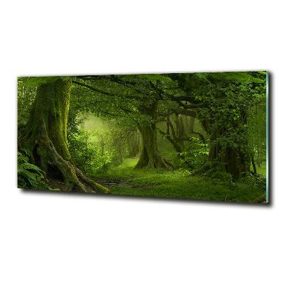 Foto obraz szklany Tropikalna dżungla