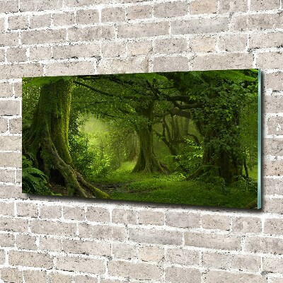 Foto obraz szklany Tropikalna dżungla