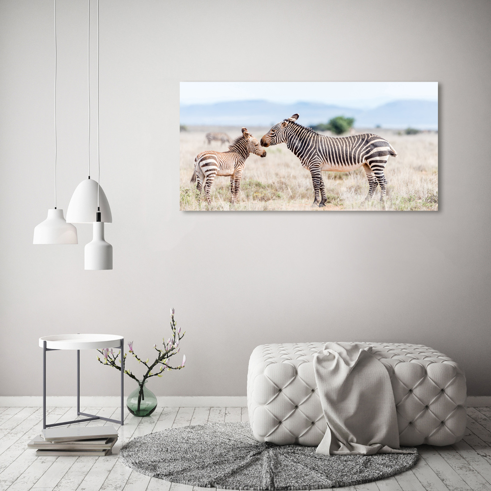Foto-obraz szkło hartowane Zebry w górach