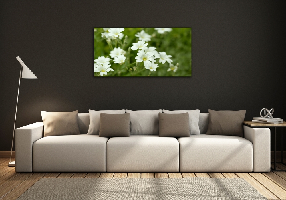 Fotoobraz na ścianę szklany Wiosenne kwiaty