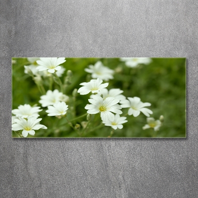 Fotoobraz na ścianę szklany Wiosenne kwiaty