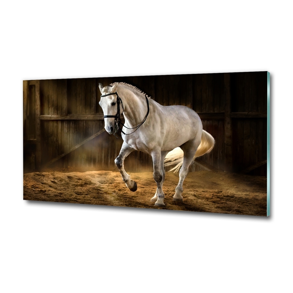 Foto-obraz szklany Biały koń w stajni