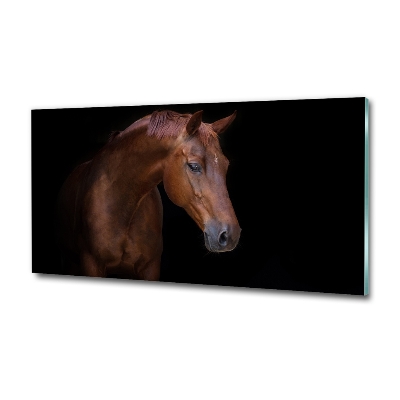 Foto-obraz szkło hartowane Brązowy koń