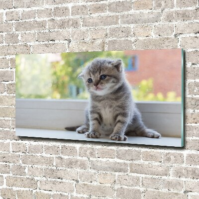 Foto-obraz szklany Mały kot przy oknie
