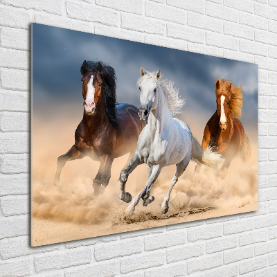 Foto-obraz szklany Konie na pustyni