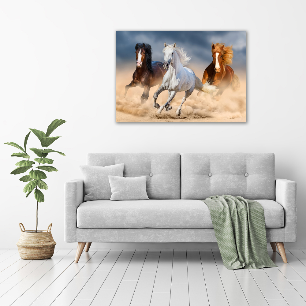 Foto-obraz szklany Konie na pustyni