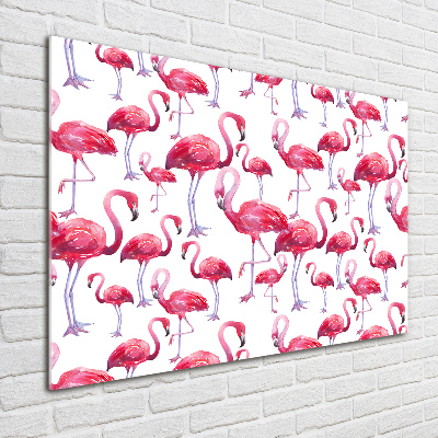 Foto-obraz szkło hartowane Flamingi
