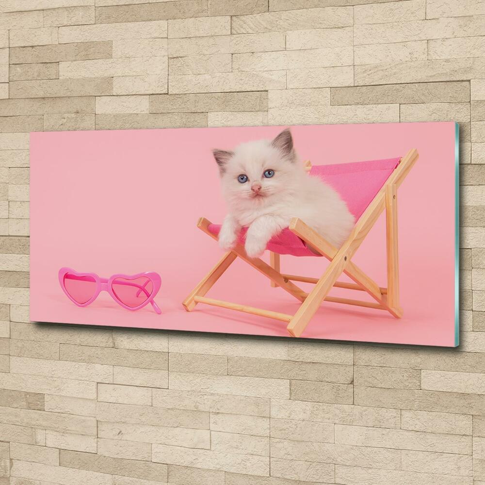 Foto-obraz szkło hartowane Kot na leżaku