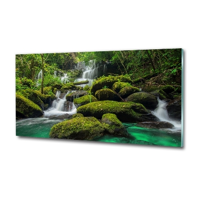Foto obraz szklany Wodospad w lesie