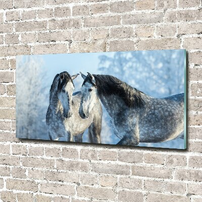 Foto-obraz szklany Szare konie zimą