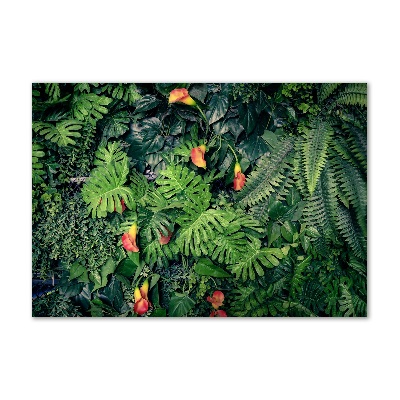 Foto obraz szklany Egzotyczna dżungla
