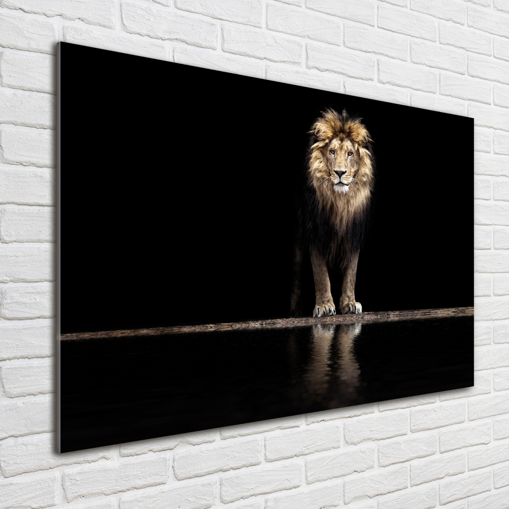 Foto-obraz szkło hartowane Portret lwa