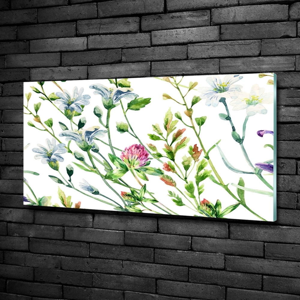 Foto obraz szkło hartowane Dzikie kwiaty