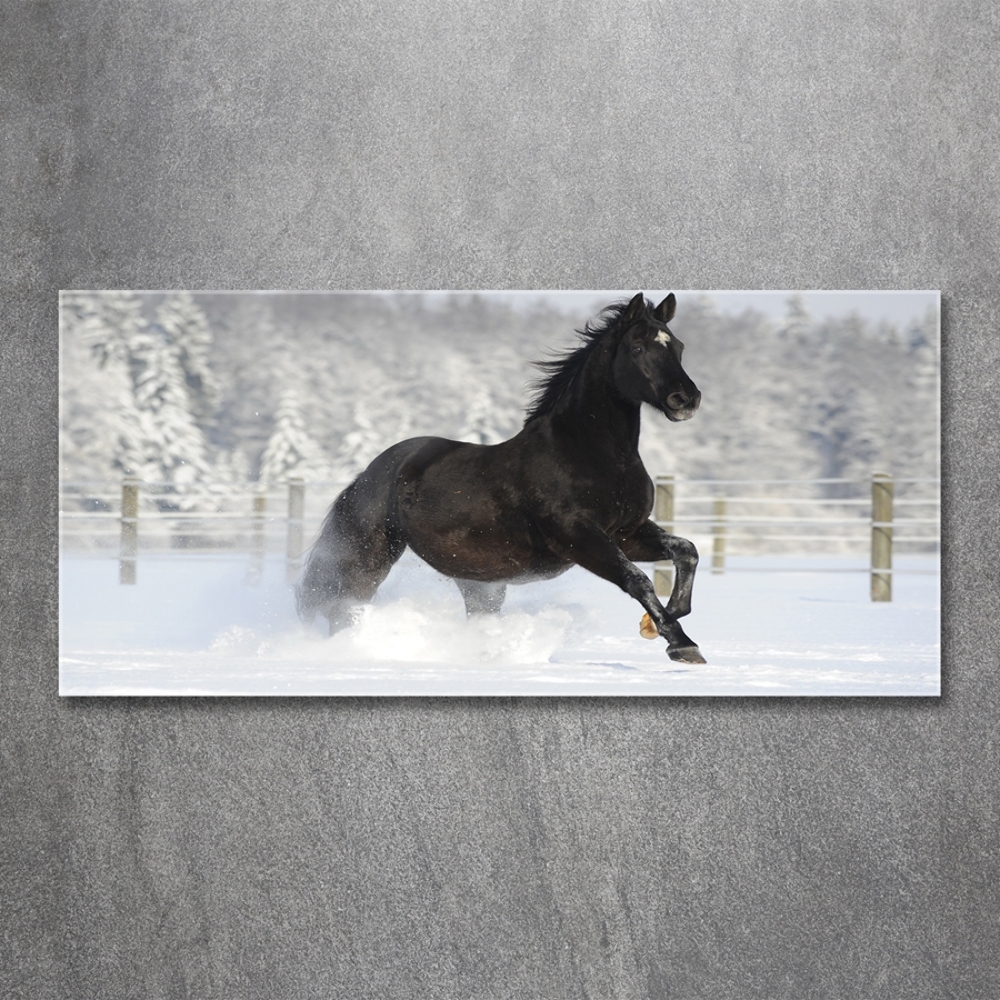 Foto-obraz szklany Koń w galopie śnieg