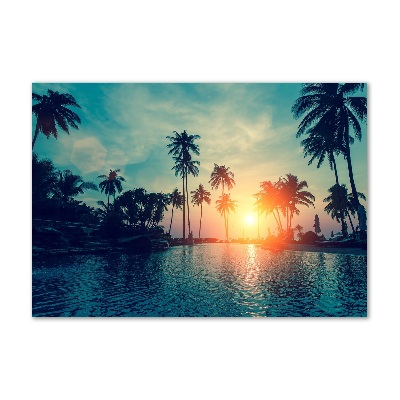 Foto obraz szklany Zachód słońca palmy