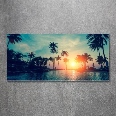 Foto obraz szklany Zachód słońca palmy