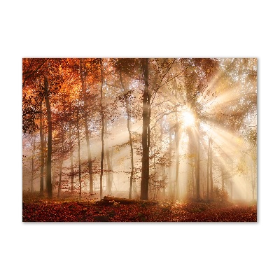 Foto obraz szklany Mgła w lesie jesień